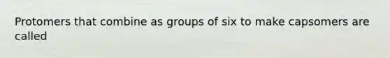 Protomers that combine as groups of six to make capsomers are called