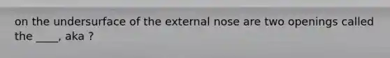 on the undersurface of the external nose are two openings called the ____, aka ?