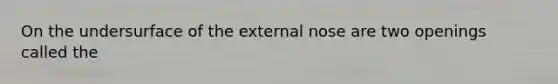 On the undersurface of the external nose are two openings called the