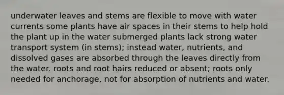 underwater leaves and stems are flexible to move with water currents some plants have air spaces in their stems to help hold the plant up in the water submerged plants lack strong water transport system (in stems); instead water, nutrients, and dissolved gases are absorbed through the leaves directly from the water. roots and root hairs reduced or absent; roots only needed for anchorage, not for absorption of nutrients and water.