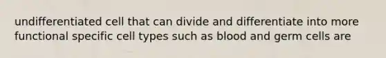 undifferentiated cell that can divide and differentiate into more functional specific cell types such as blood and germ cells are