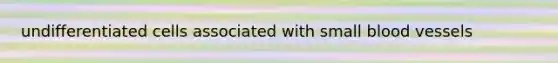 undifferentiated cells associated with small blood vessels