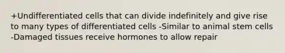 +Undifferentiated cells that can divide indefinitely and give rise to many types of differentiated cells -Similar to animal stem cells -Damaged tissues receive hormones to allow repair