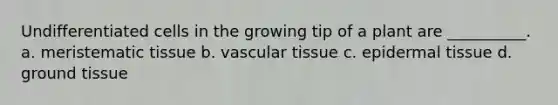 Undifferentiated cells in the growing tip of a plant are __________. a. meristematic tissue b. vascular tissue c. epidermal tissue d. ground tissue