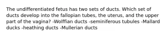 The undifferentiated fetus has two sets of ducts. Which set of ducts develop into the fallopian tubes, the uterus, and the upper part of the vagina? -Wolffian ducts -seminiferous tubules -Mallard ducks -heathing ducts -Mullerian ducts