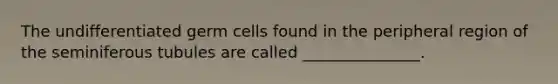 The undifferentiated germ cells found in the peripheral region of the seminiferous tubules are called _______________.