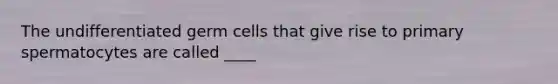 The undifferentiated germ cells that give rise to primary spermatocytes are called ____