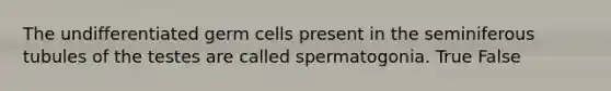 The undifferentiated germ cells present in the seminiferous tubules of the testes are called spermatogonia. True False