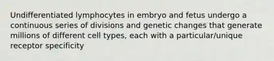 Undifferentiated lymphocytes in embryo and fetus undergo a continuous series of divisions and genetic changes that generate millions of different cell types, each with a particular/unique receptor specificity