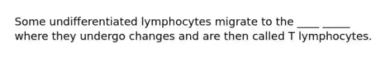 Some undifferentiated lymphocytes migrate to the ____ _____ where they undergo changes and are then called T lymphocytes.