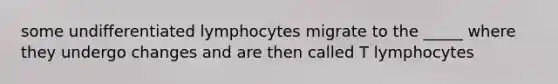 some undifferentiated lymphocytes migrate to the _____ where they undergo changes and are then called T lymphocytes