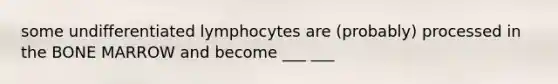 some undifferentiated lymphocytes are (probably) processed in the BONE MARROW and become ___ ___