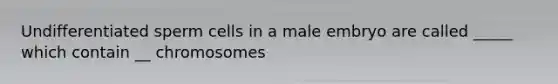 Undifferentiated sperm cells in a male embryo are called _____ which contain __ chromosomes