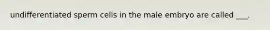undifferentiated sperm cells in the male embryo are called ___.