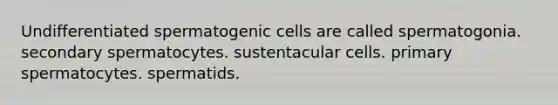 Undifferentiated spermatogenic cells are called spermatogonia. secondary spermatocytes. sustentacular cells. primary spermatocytes. spermatids.