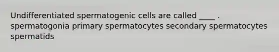 Undifferentiated spermatogenic cells are called ____ . spermatogonia primary spermatocytes secondary spermatocytes spermatids