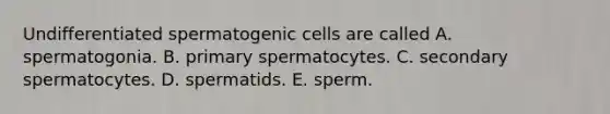 Undifferentiated spermatogenic cells are called A. spermatogonia. B. primary spermatocytes. C. secondary spermatocytes. D. spermatids. E. sperm.