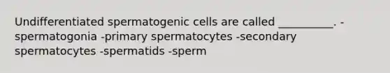 Undifferentiated spermatogenic cells are called __________. -spermatogonia -primary spermatocytes -secondary spermatocytes -spermatids -sperm