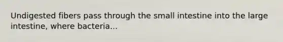 Undigested fibers pass through the small intestine into the large intestine, where bacteria...