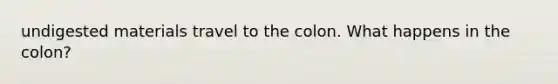 undigested materials travel to the colon. What happens in the colon?