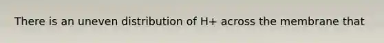 There is an uneven distribution of H+ across the membrane that