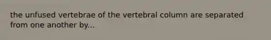 the unfused vertebrae of the vertebral column are separated from one another by...