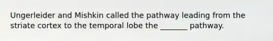 Ungerleider and Mishkin called the pathway leading from the striate cortex to the temporal lobe the _______ pathway.