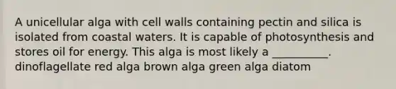 A unicellular alga with cell walls containing pectin and silica is isolated from coastal waters. It is capable of photosynthesis and stores oil for energy. This alga is most likely a __________. dinoflagellate red alga brown alga green alga diatom