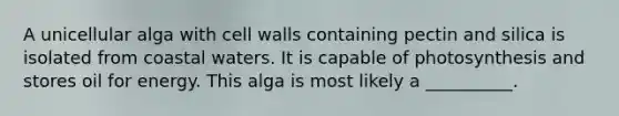 A unicellular alga with cell walls containing pectin and silica is isolated from coastal waters. It is capable of photosynthesis and stores oil for energy. This alga is most likely a __________.