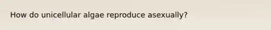 How do unicellular algae reproduce asexually?