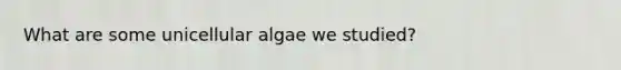 What are some unicellular algae we studied?