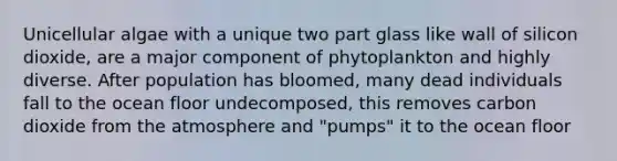 Unicellular algae with a unique two part glass like wall of silicon dioxide, are a major component of phytoplankton and highly diverse. After population has bloomed, many dead individuals fall to the ocean floor undecomposed, this removes carbon dioxide from the atmosphere and "pumps" it to the ocean floor