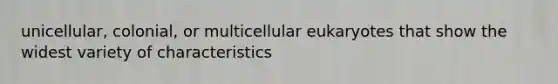 unicellular, colonial, or multicellular eukaryotes that show the widest variety of characteristics