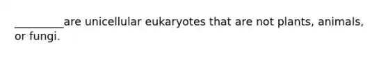 _________are unicellular eukaryotes that are not plants, animals, or fungi.