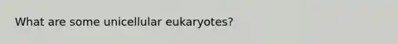 What are some unicellular eukaryotes?