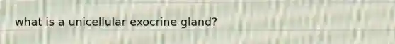 what is a unicellular exocrine gland?