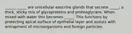 ______ _____ are unicellular exocrine glands that secrete _____; a thick, sticky mix of glycoproteins and proteoglycans. When mixed with water this becomes _____. This functions by protecting apical surface of epithelial layer and assists with entrapment of microorganisms and foreign particles.