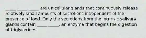 _____ _____ _____ are unicellular glands that continuously release relatively small amounts of secretions independent of the presence of food. Only the secretions from the intrinsic salivary glands contain _____ _____, an enzyme that begins the digestion of triglycerides.