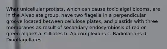 What unicellular protists, which can cause toxic algal blooms, are in the Alveolate group, have two flagella in a perpendicular groove located between cellulose plates, and plastids with three membranes as result of secondary endosymbiosis of red or green algae? a. Cilliates b. Apicomplexans c. Radiolarians d. Dinoflagellates