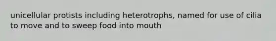 unicellular protists including heterotrophs, named for use of cilia to move and to sweep food into mouth