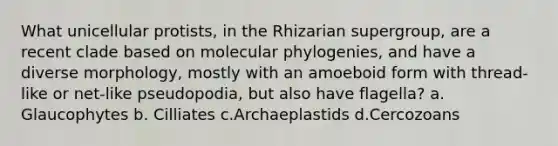 What unicellular protists, in the Rhizarian supergroup, are a recent clade based on molecular phylogenies, and have a diverse morphology, mostly with an amoeboid form with thread-like or net-like pseudopodia, but also have flagella? a. Glaucophytes b. Cilliates c.Archaeplastids d.Cercozoans