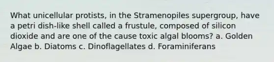 What unicellular protists, in the Stramenopiles supergroup, have a petri dish-like shell called a frustule, composed of silicon dioxide and are one of the cause toxic algal blooms? a. Golden Algae b. Diatoms c. Dinoflagellates d. Foraminiferans