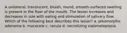 A unilateral, translucent, bluish, round, smooth-surfaced swelling is present in the floor of the mouth. The lesion increases and decreases in size with eating and stimulation of salivary flow. Which of the following best describes this lesion? a. pleomorphic adenoma b. mucocele c. ranula d. necrotizing sialometeplasia
