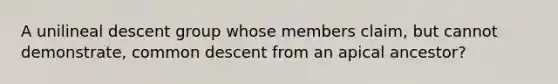 A unilineal descent group whose members claim, but cannot demonstrate, common descent from an apical ancestor?