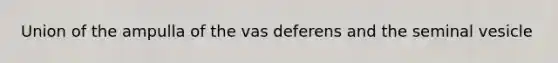 Union of the ampulla of the vas deferens and the seminal vesicle