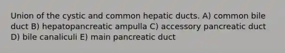 Union of the cystic and common hepatic ducts. A) common bile duct B) hepatopancreatic ampulla C) accessory pancreatic duct D) bile canaliculi E) main pancreatic duct