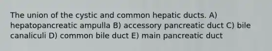 The union of the cystic and common hepatic ducts. A) hepatopancreatic ampulla B) accessory pancreatic duct C) bile canaliculi D) common bile duct E) main pancreatic duct