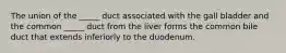 The union of the _____ duct associated with the gall bladder and the common _____ duct from the liver forms the common bile duct that extends inferiorly to the duodenum.