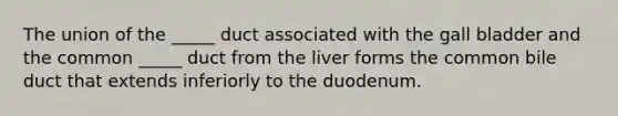 The union of the _____ duct associated with the gall bladder and the common _____ duct from the liver forms the common bile duct that extends inferiorly to the duodenum.