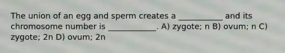 The union of an egg and sperm creates a ___________ and its chromosome number is ____________. A) zygote; n B) ovum; n C) zygote; 2n D) ovum; 2n